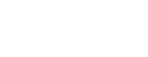 Net-vision - logo - tvorba webových stránek